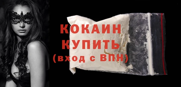 прущий лед Алзамай