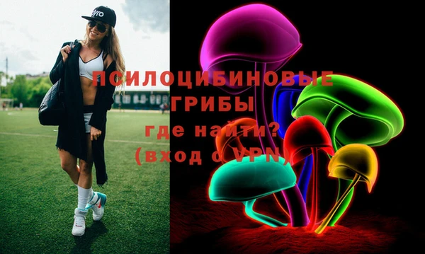 прущий лед Алзамай