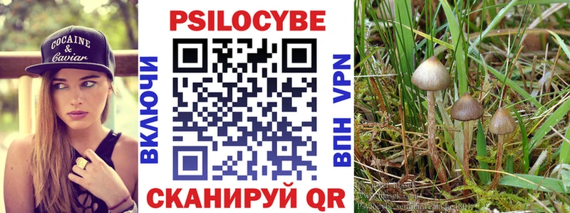кракен зеркало  Южно-Сухокумск  Псилоцибиновые грибы прущие грибы  даркнет сайт 